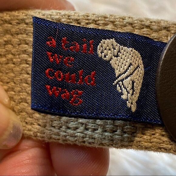 A Tail We Could Wag Colorful Woven and Brown Leather Belt - Picture 4 of 9